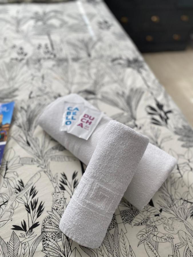 Accommodatie bij particulieren Lunaroom Center & Quiet Málaga